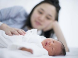 关于素竹生殖